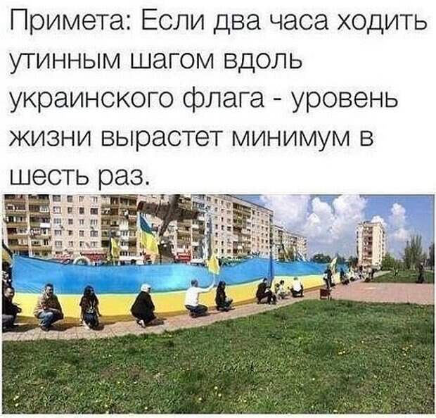 44100c256871e8058f11cc2e97a28db1.jpg
