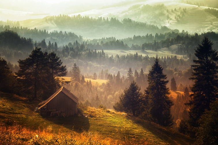 одинокие домики, уединённые дома, дом в лесу
