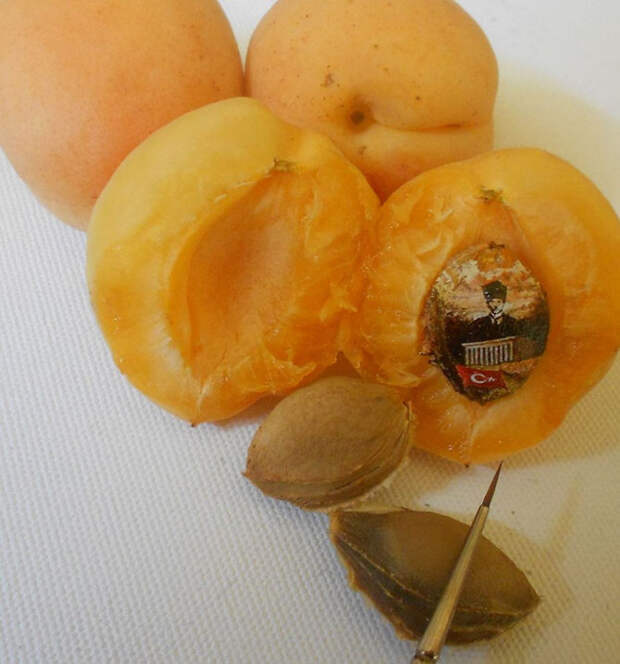 Миниатюрные рисунки Хасана Кале