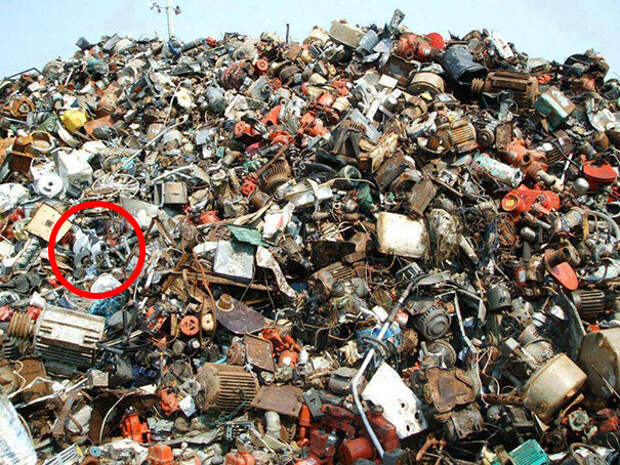 find-hidden-cat-camouflage-hide-and-seek-catouflage-157