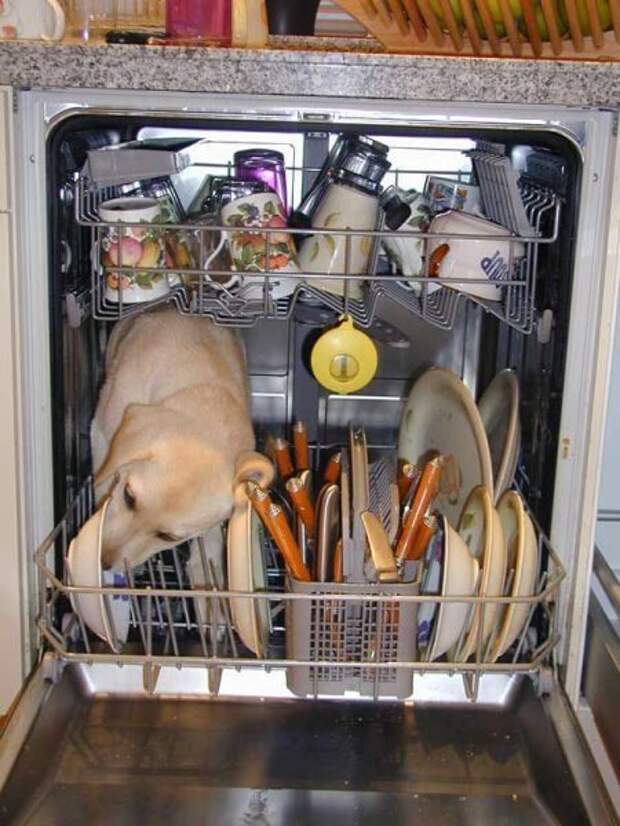 Вот это взаимопомощь!