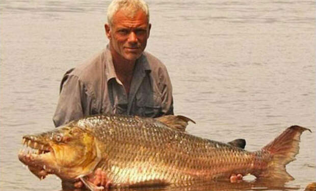 10 самых опасных рыб, обитающих в реках мира