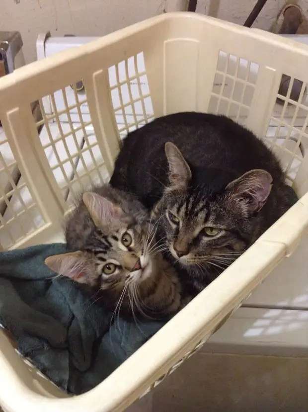 ����������: 50 ��������� ����� � �� �������������� ����-����� �47 - BigPicture.ru