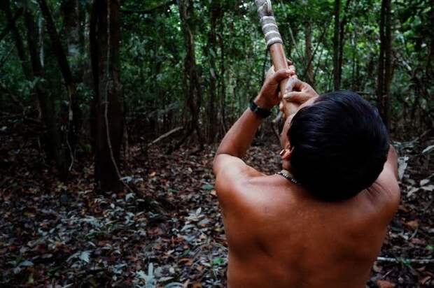 15. Племя матис, Бразилия - яд в глаза мир, ритуал, странность