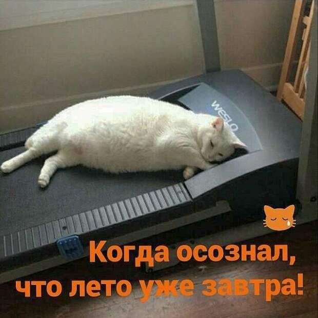 Самый злой пост о тех, кому не хватает мотивации для занятий спортом Самый злой пост о тех, кому не хватает мотивации для занятий спортом