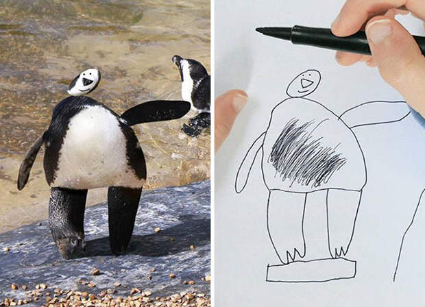 kid-drawings-things-i-have-drawn-dom-5a-580e006e2302d__700