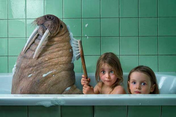 Картинки по запросу john wilhelm