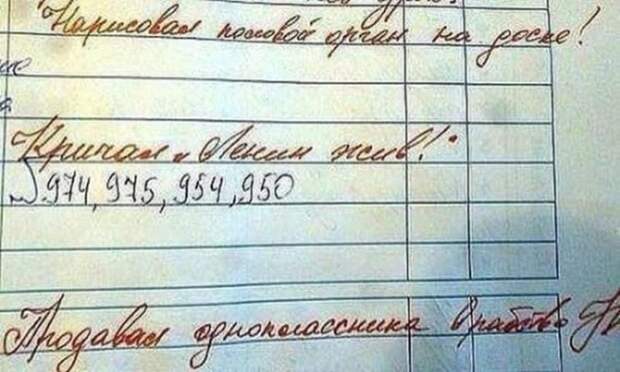 25 смешных замечаний в школьных дневниках 25 смешных замечаний в школьных дневниках