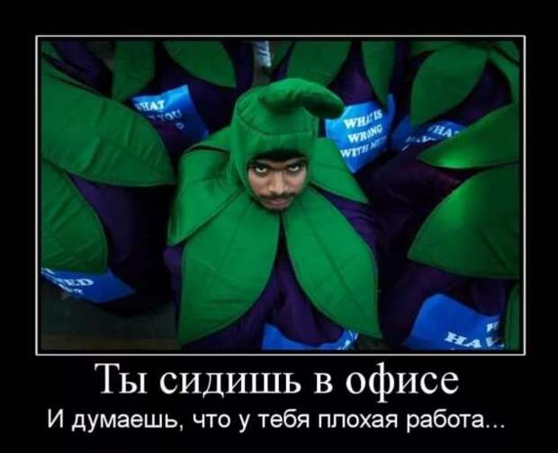 Смешные комментарии. Подборка chert-poberi-kom-chert-poberi-kom-54490317082020-17 картинка chert-poberi-kom-54490317082020-17