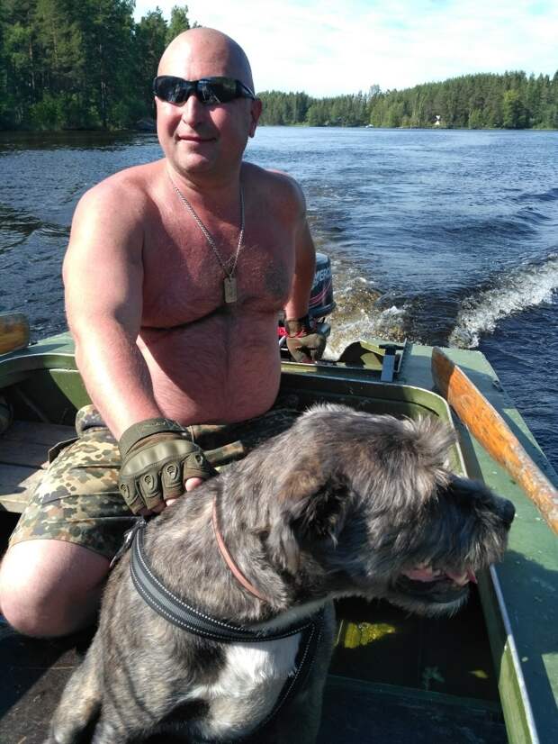 пес обрел дом пес с хозяином в лодке