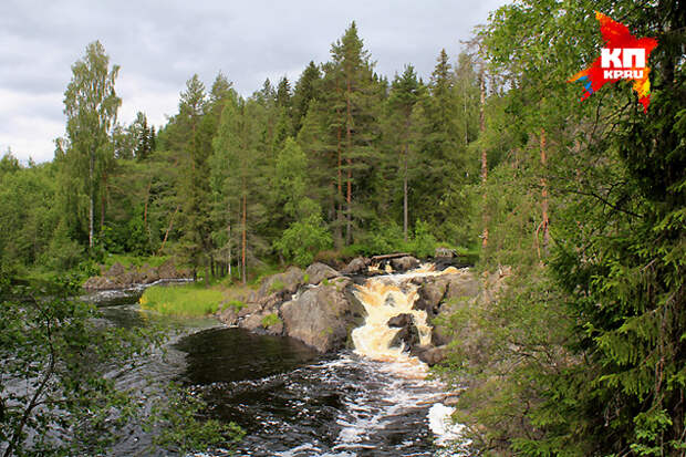 Андрей ГРЕЧАННИК