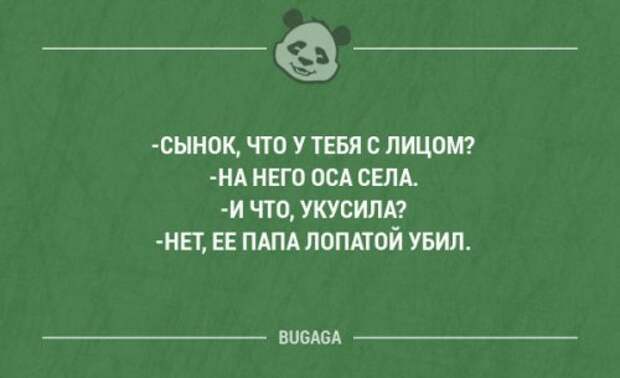 Прикольные фразы в картинках с надписями. Часть 64 (17 шт)