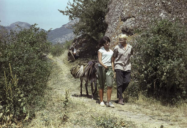 Фильму "Кавказская пленница, или новые приключения Шурика" 50 лет "Кавказская пленница, или новые приключения Шурика", интересное, леонид гайдай