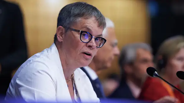 В ПАСЕ прокомментировали отзыв Украиной приглашений наблюдателям