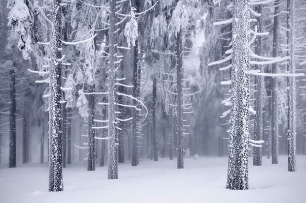 Зима в фотографиях Kilian Schonberger