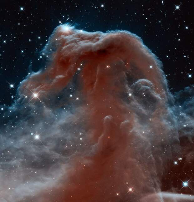 Туманность Конская голова интересное, космос, красота, наука, фото