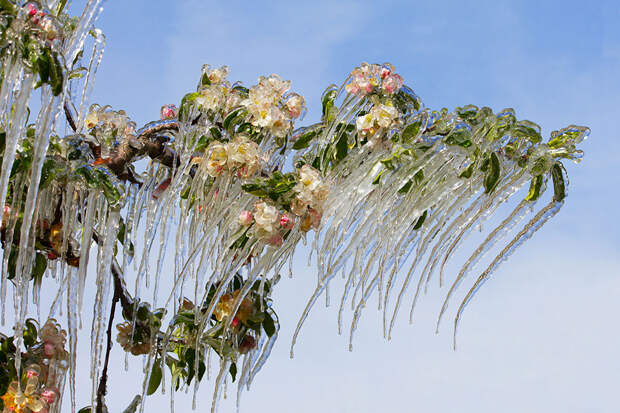 Icebeauty22 Ледяное вдохновение — 23 фото интересных образований изо льда