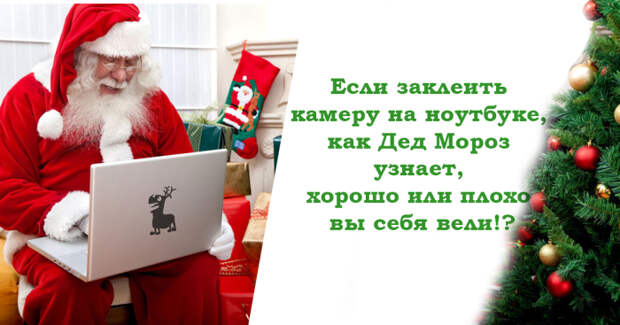 15 предновогодних саркастических открыток, которые откроют второе дыхание