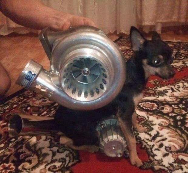Приколы
