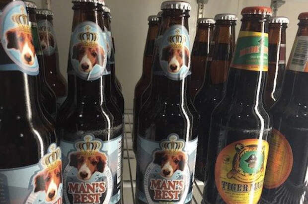 Собака Дэна Леви попала на этикетки выдуманной для сериала марки пива