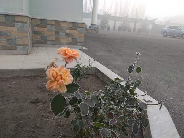 Подборка прикольных картинок
