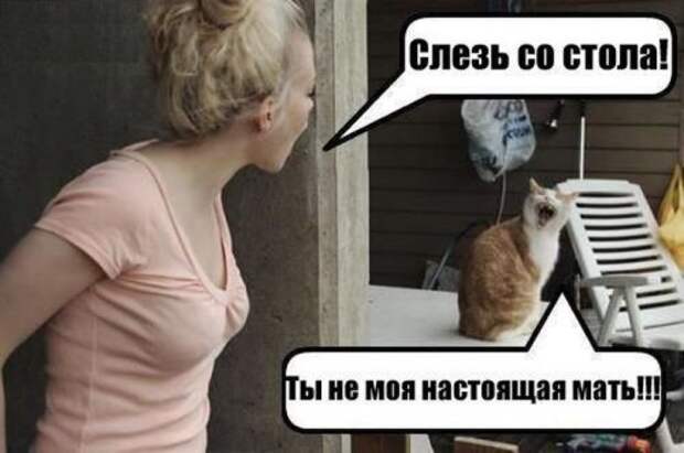 Прикольные фотомемы (25 шт)