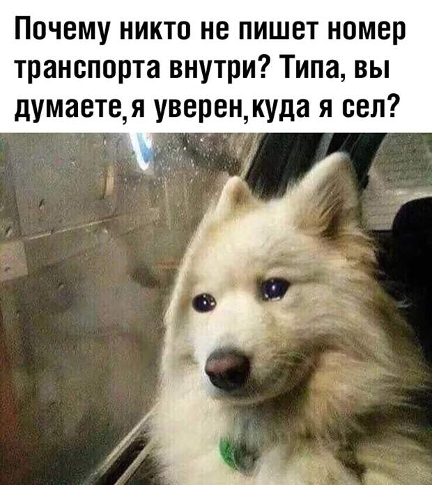 www.vsyako.net
