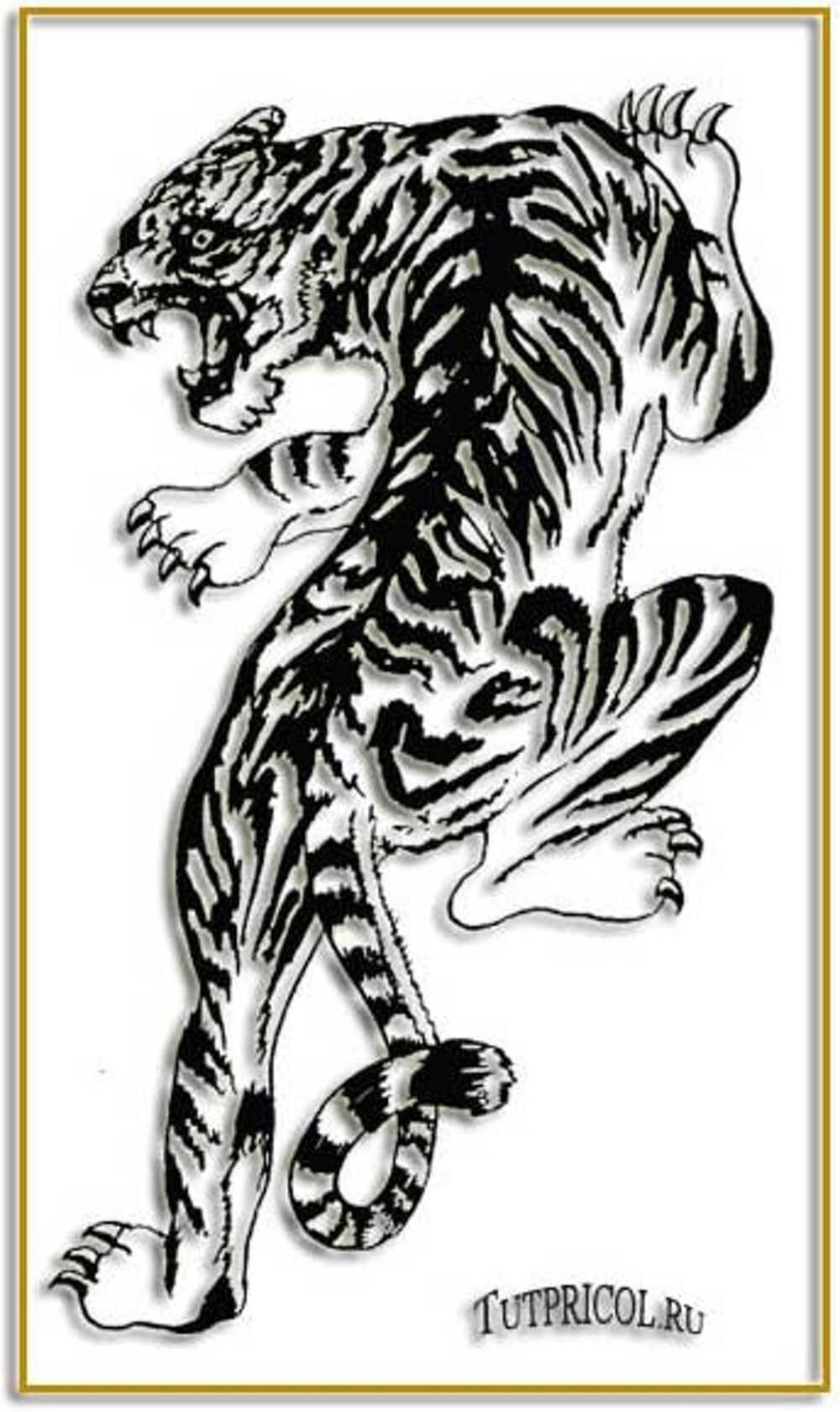 Эскизы тату тигра на спину