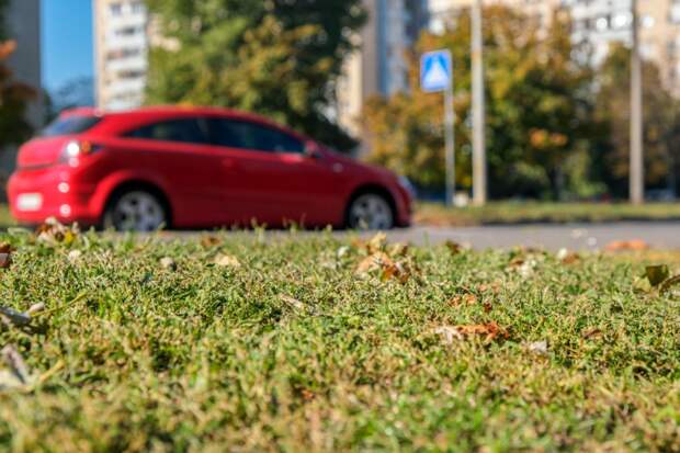 В Подмосковье нейросеть фиксирует машины, которые паркуются на газонах В Подмосковье нейросеть фиксирует машины, которые паркуются на газонах