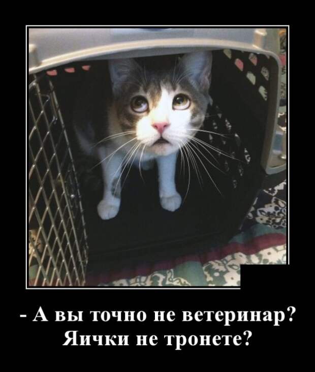 Демотиваторы (30 фото)