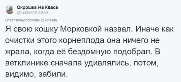 Кто во что горазд, или как правильно назвать своего питомца Кто во что горазд, или как правильно назвать своего питомца