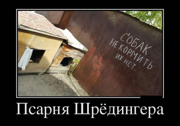 Демотиваторы