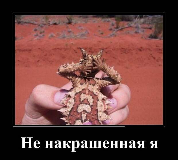 Демотиваторы (30 фото)