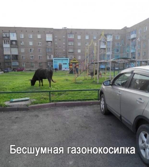 Прикольные картинки (41 шт)