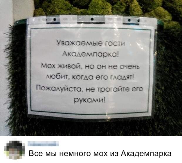 Подборка картинок. Дневной выпуск (20 фото)