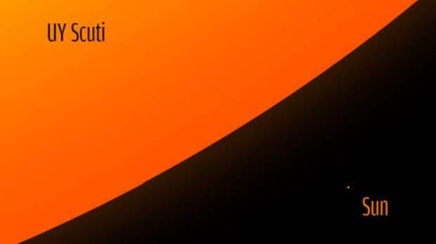 Звезда UY Scuti