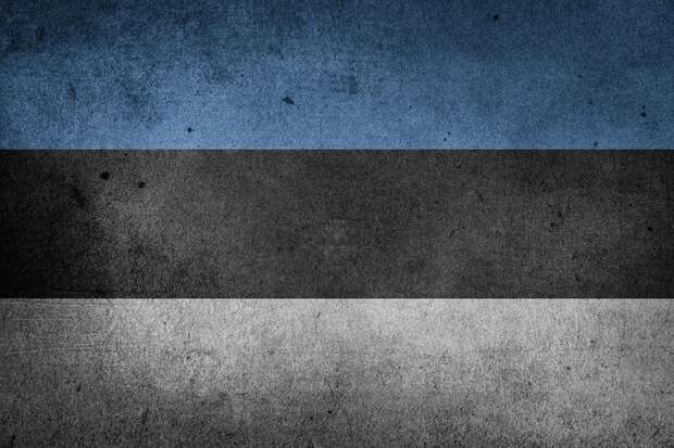 Латвийский синдром: Эстония готовится запретить в школах русский язык Латвийский синдром: Эстония готовится запретить в школах русский язык
