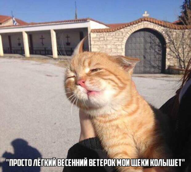 Позитивные и веселые картинки с надписями для настроения (11 фото) Позитивные и веселые картинки с надписями для настроения (11 фото)