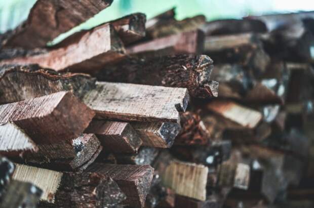 В Венгрии вступил в силу запрет на вывоз дров из страны