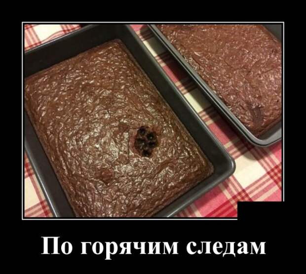 www.vsyako.net
