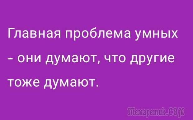 Анекдоты и смешные цитаты в открытках