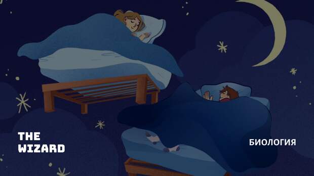 Почему люди разговаривают во сне и опасно ли это
