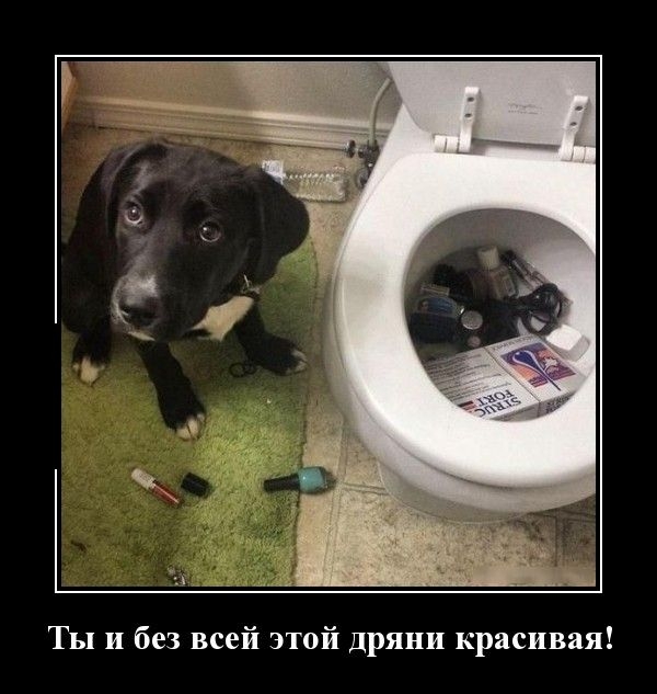 Демотиваторы