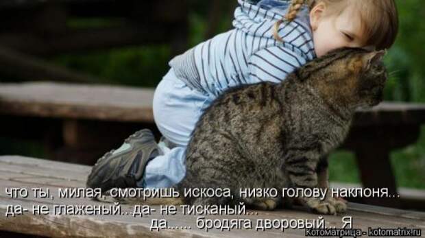 Свежая и прикольная котоматрица (32 фото)