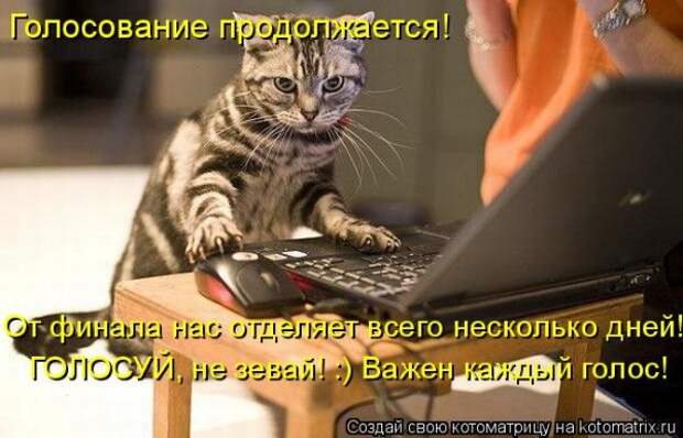 Мысли вслух :)