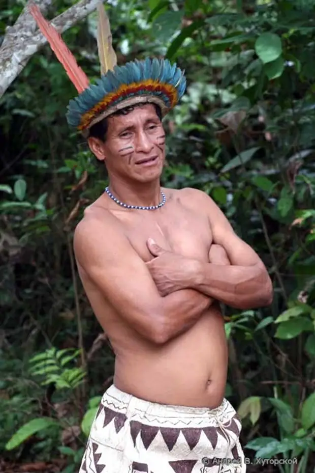 Перуанские индейцы 4. Индейцы Амазонии. Индейцы амазонки. Дикие индейцы Амазонии.