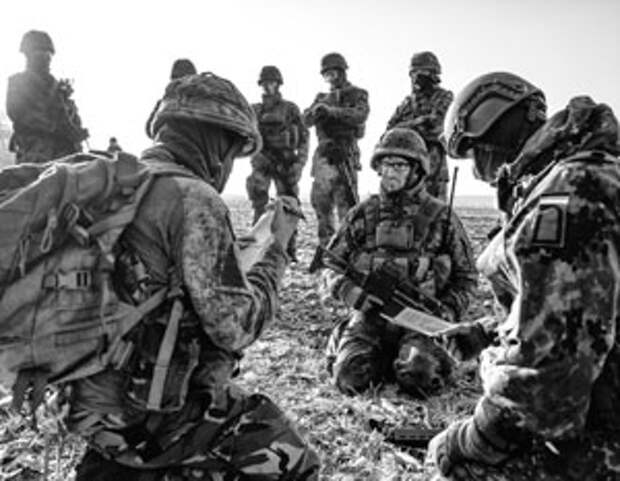 Зачем Германия поглощает армию Нидерландов