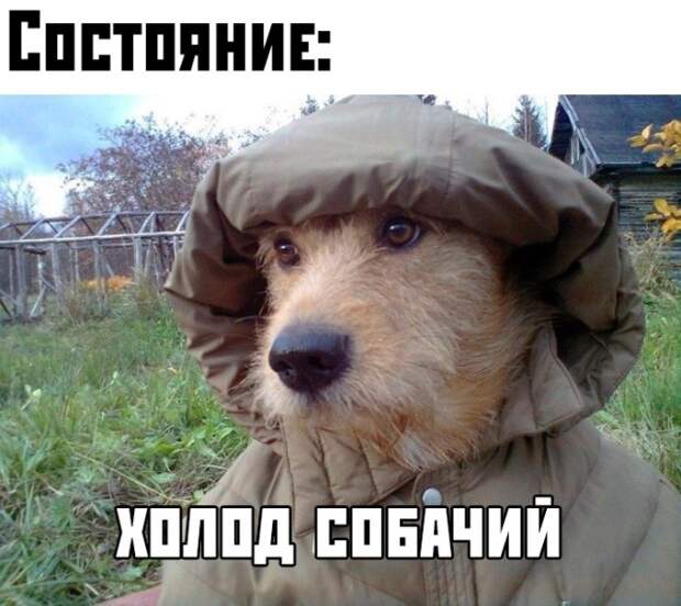 Смешные картинки ❘ 15 фото Смешные картинки ❘ 15 фото