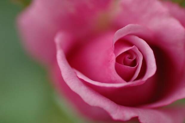 Есть только миг между прошлым и будущем... Есть только миг между прошлым и будущем...