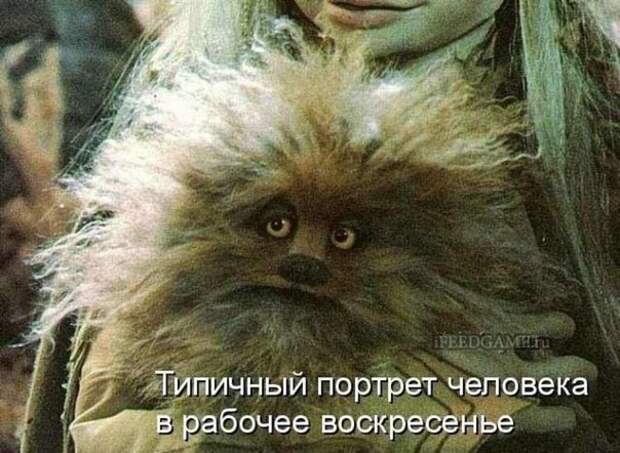 Всяко - разно 11 ))) Всяко - разно 11 )))